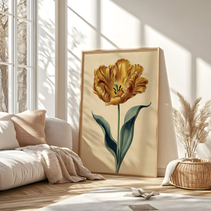 Vintage Golden Tulip Botanical Illustration (Digital Download)