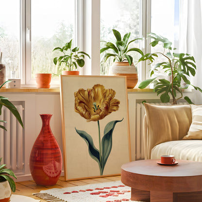 Vintage Golden Tulip Botanical Illustration (Digital Download)