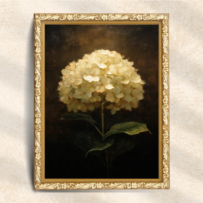 Hydrangea Flower Wall Art Print