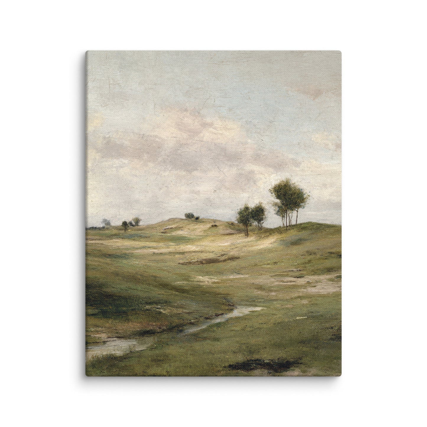 Still Meadow Landscape