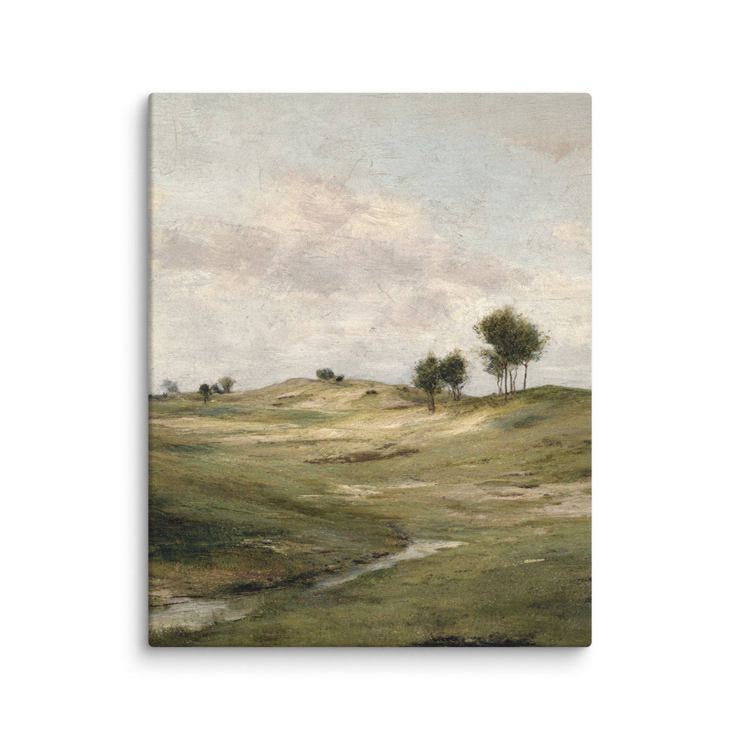 Still Meadow Landscape
