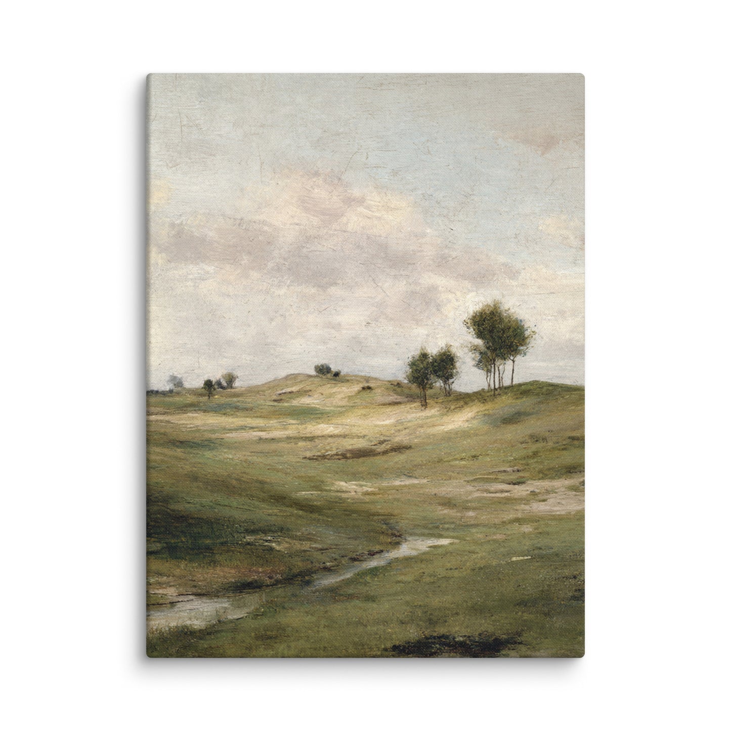 Still Meadow Landscape