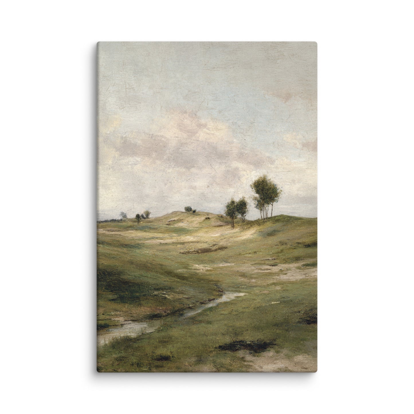 Still Meadow Landscape