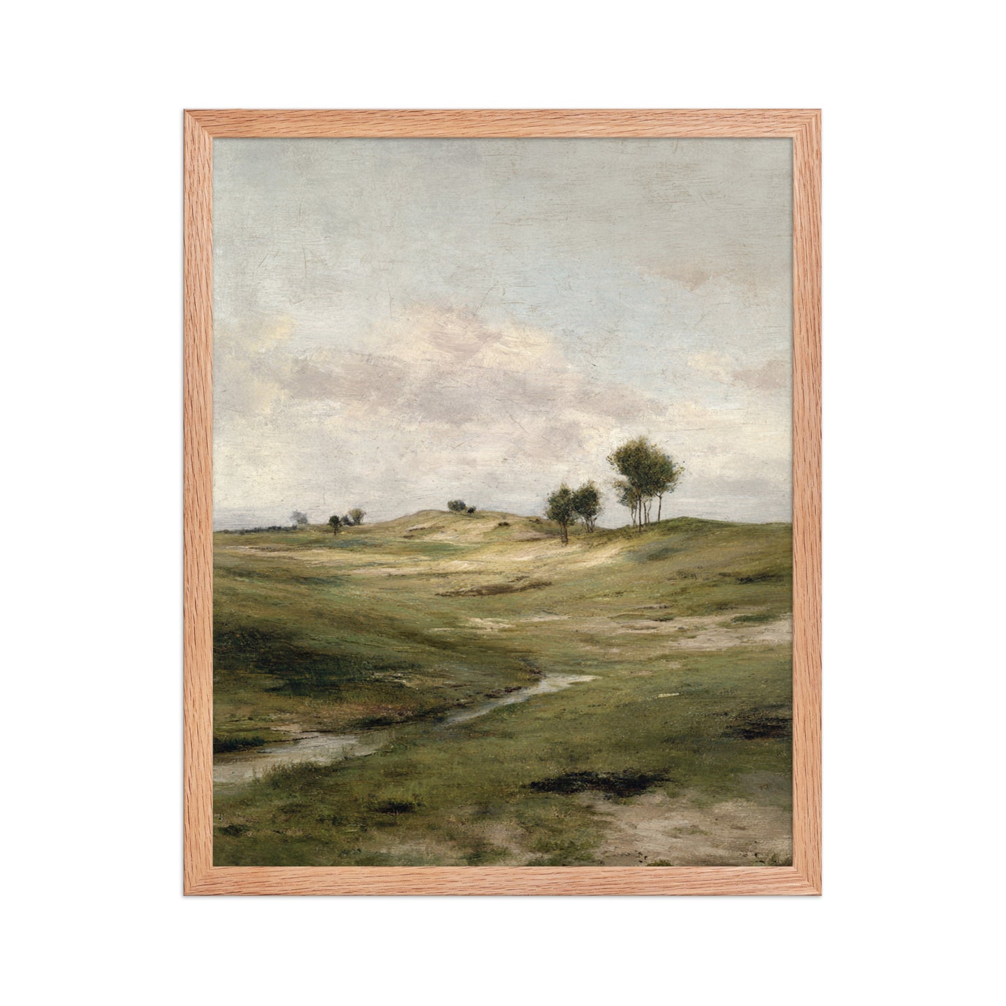 Still Meadow Landscape