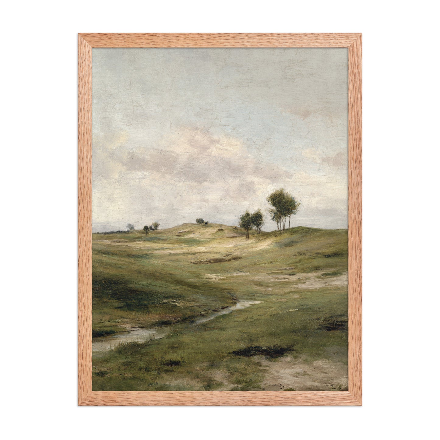 Still Meadow Landscape