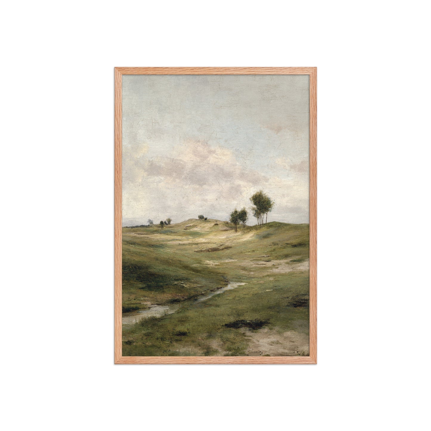 Still Meadow Landscape