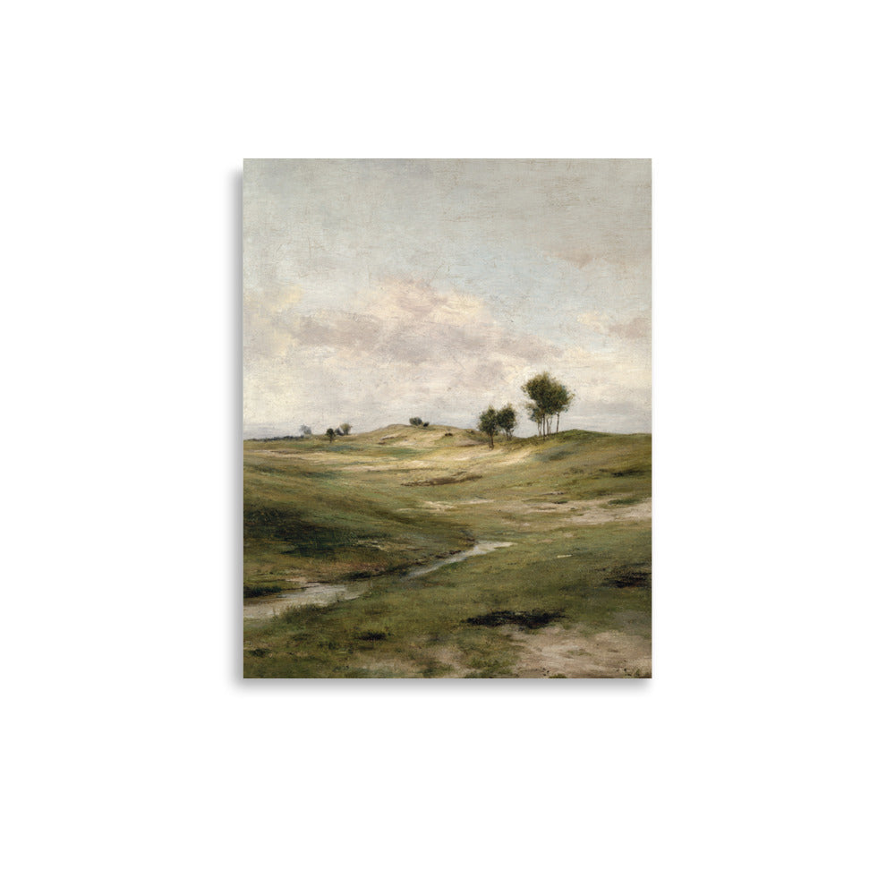 Still Meadow Landscape