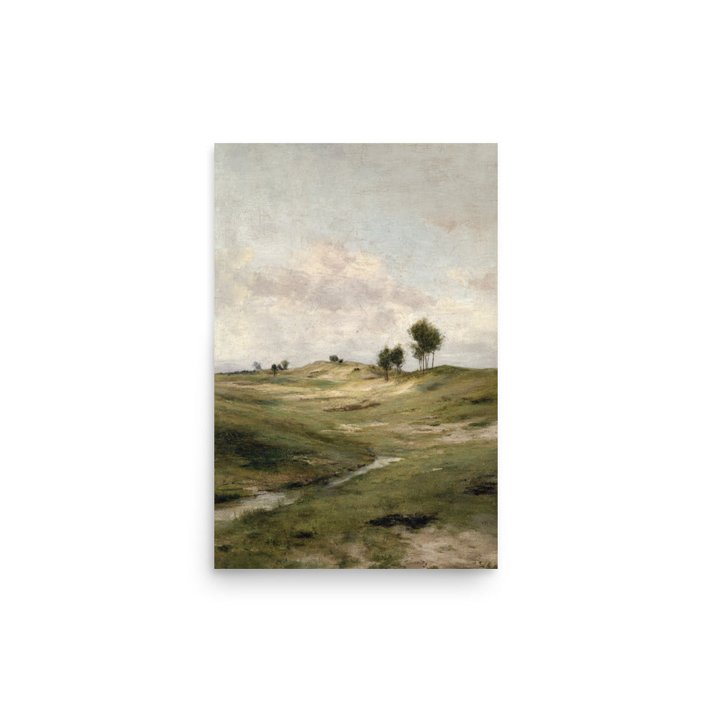 Still Meadow Landscape