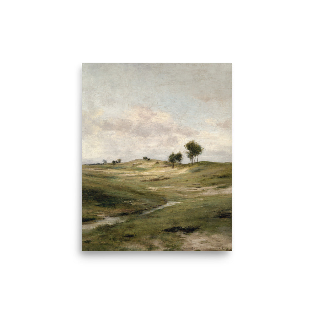 Still Meadow Landscape