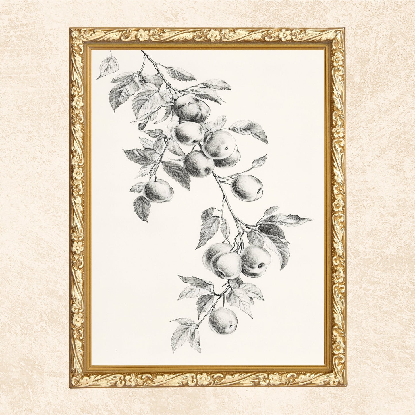 10 Vintage Still Life Art Prints Set: Eclectic Gallery Wall (Digital Download)