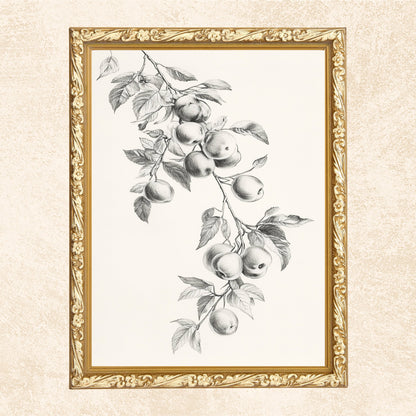 10 Vintage Still Life Art Prints Set: Eclectic Gallery Wall (Digital Download)